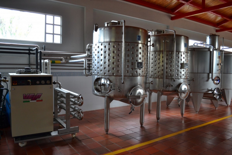 cave-AIGLUN-min_wine_production_cantine_winery_drink_alcohol_vine_beverage-902036